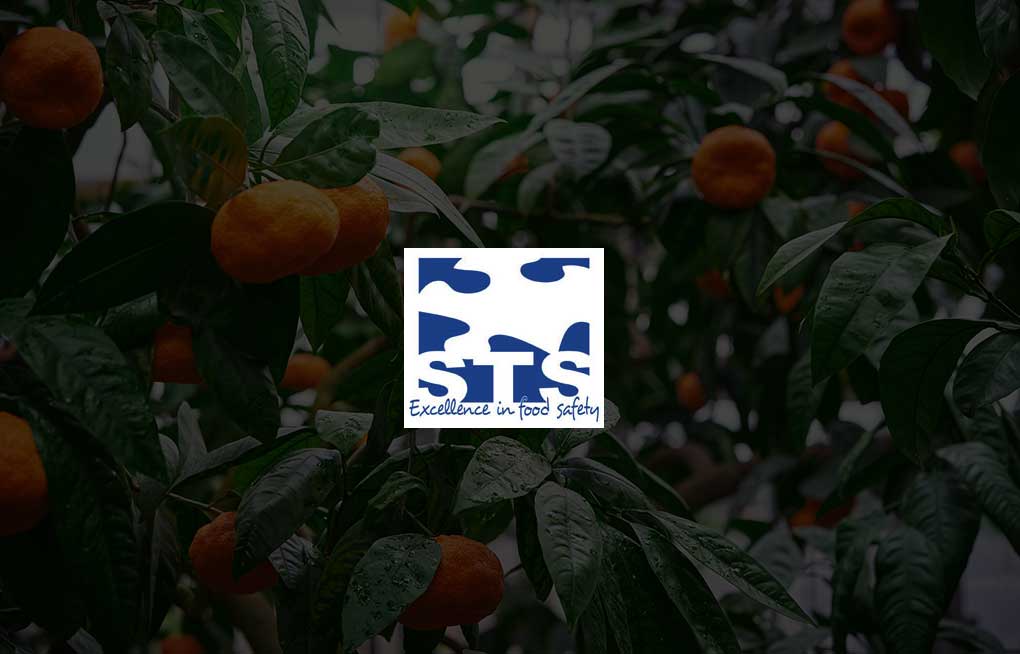 oranges